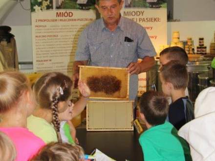 Zakończyła się Wystawa Pszczelarska w Galerii Pod Ratuszem